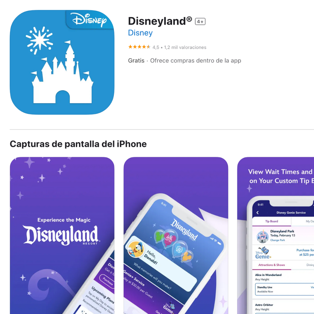 Internal Disney Network Query Control App